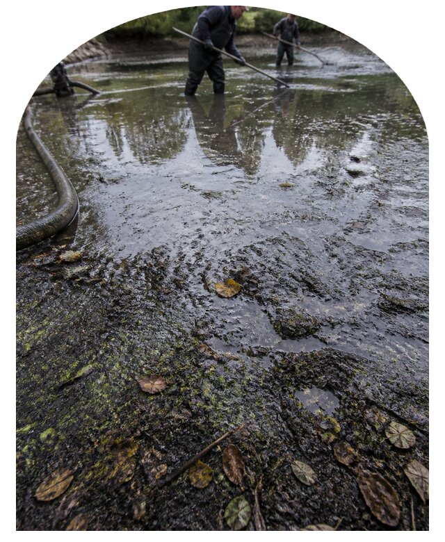 Очистка пруда в Наро-Фоминске от ила мусора и водорослей с вывозом
